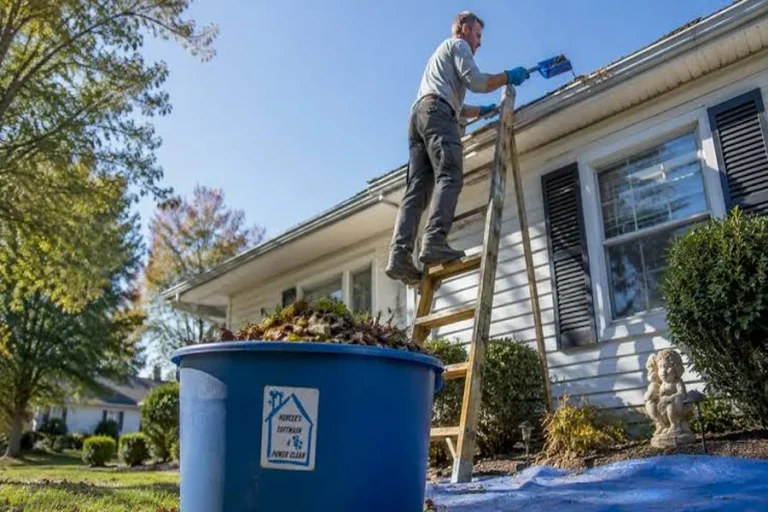 Cleaning Services